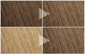 Naturvital Colour Scheme for hair dye