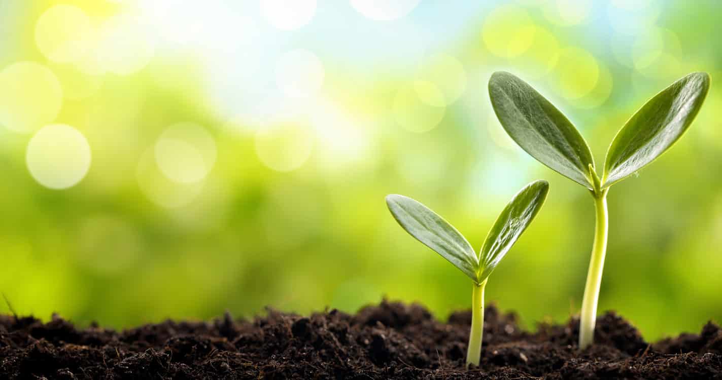 Best Hair Loss Natural Products